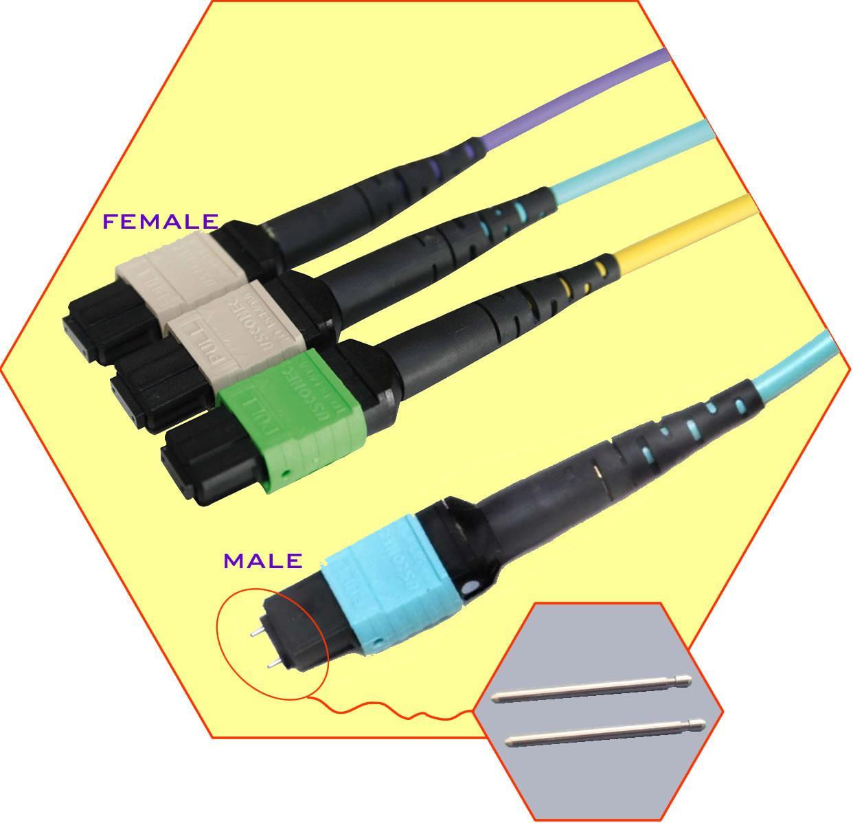 MPO-FEMALE-MALE